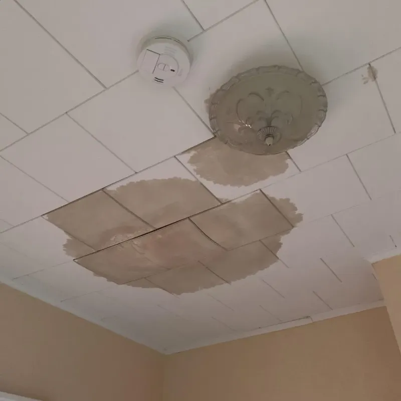 Ceiling Water Damage Repair in Bridgeville, PA