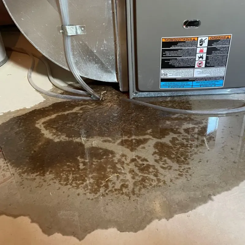 Pipe Burst and Leak Restoration in Bridgeville, PA