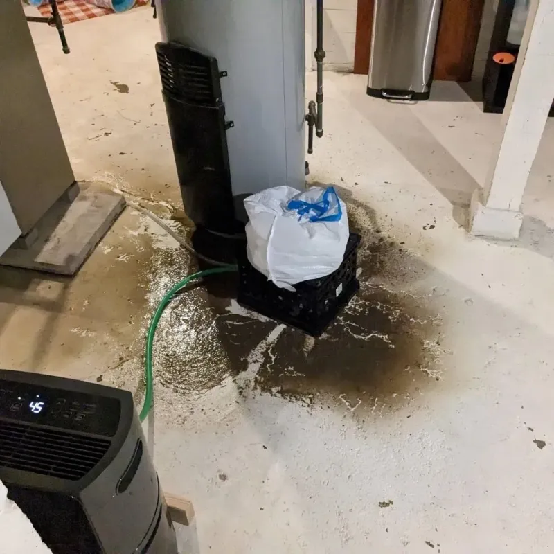 Sewage Backup Cleanup Service in Bridgeville, PA
